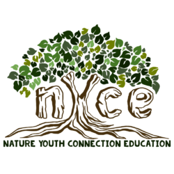 NYCE